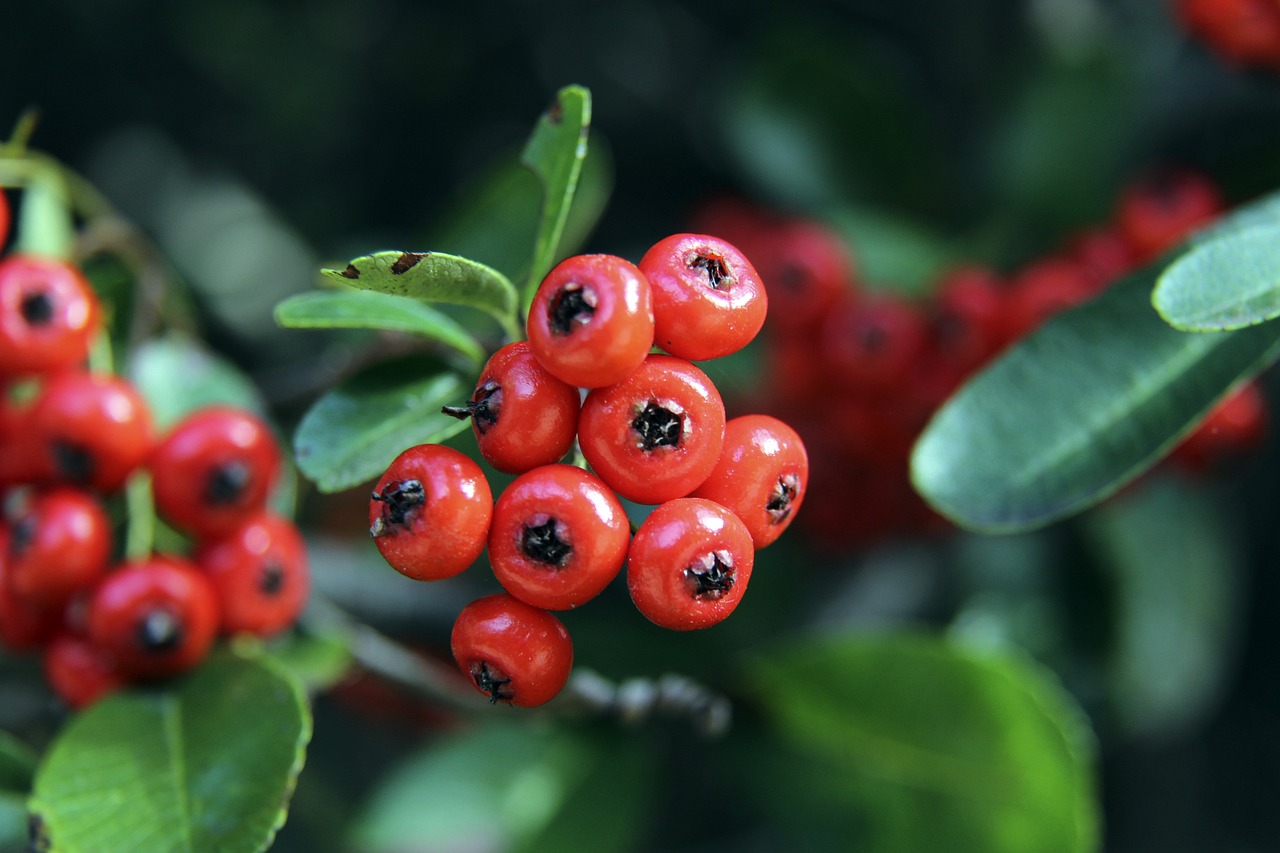 如何利用剩 如何利用剩