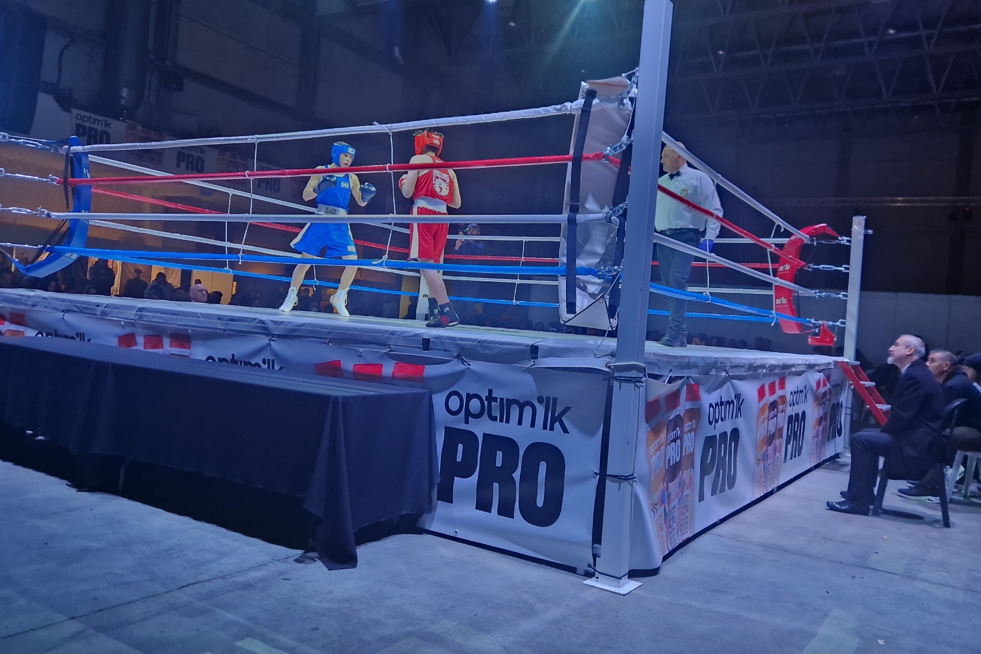 年季后赛为 年季后赛为