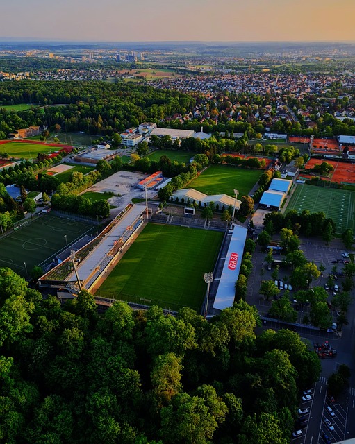 得不承认 得不承认