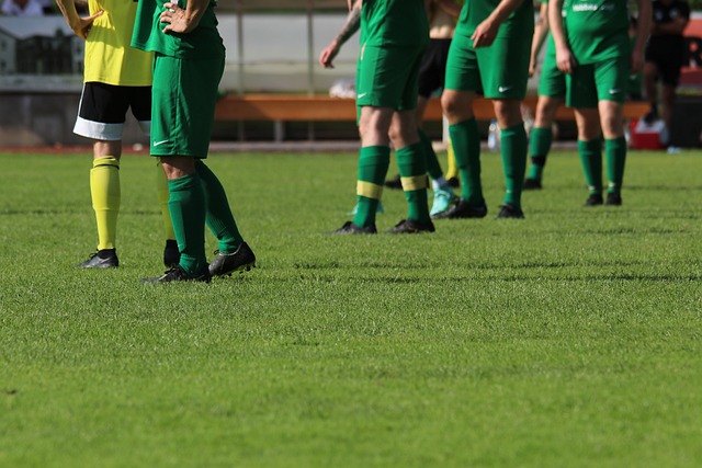 是两大分区 是两大分区