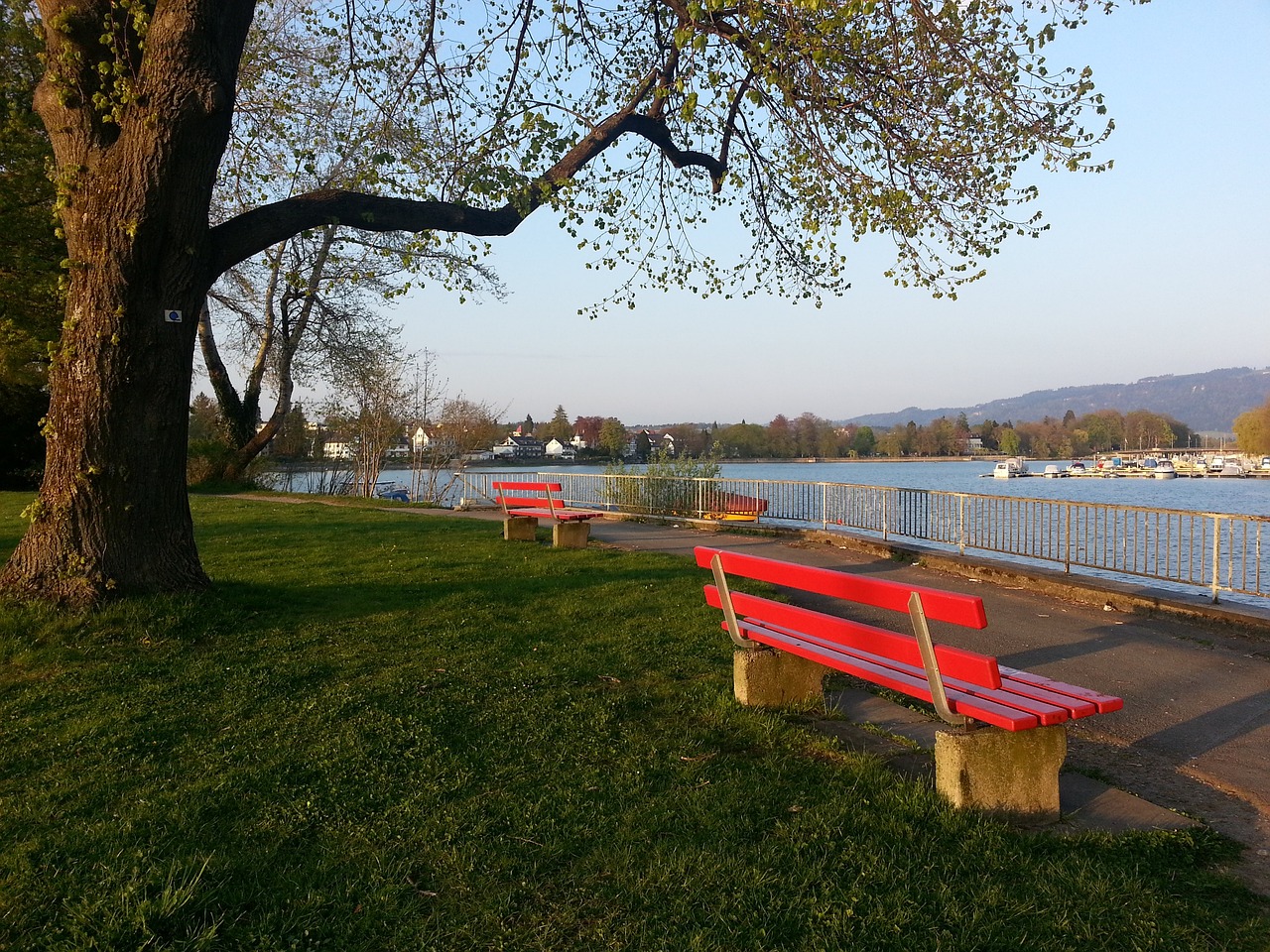 永不言败 永不言败