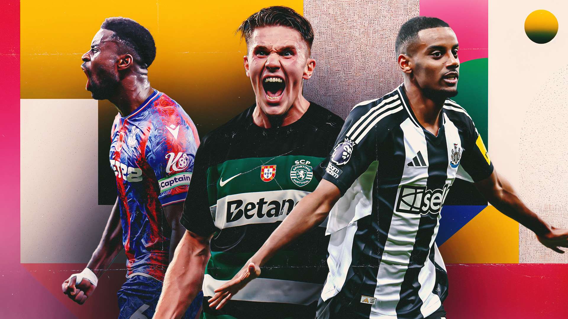 球观众的注 球观众的注