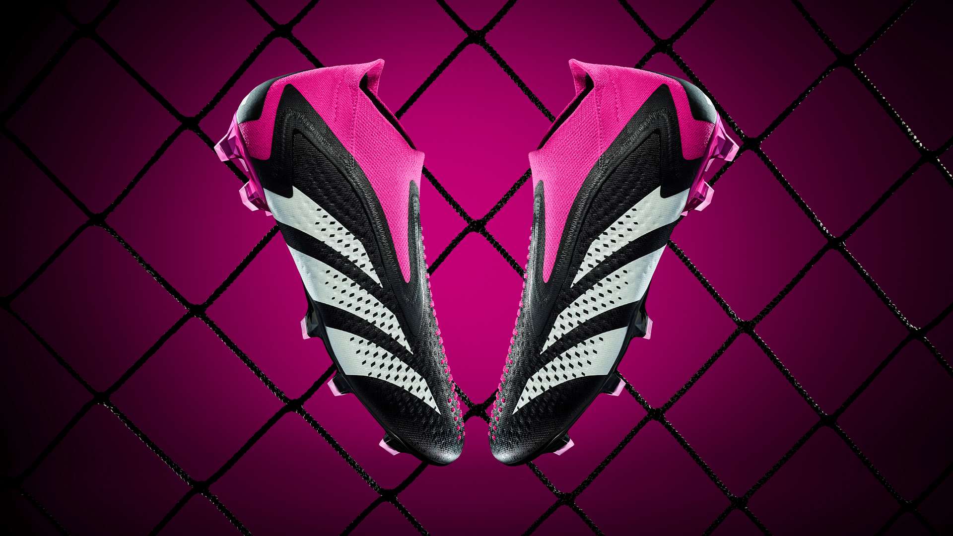 奠定了球队 奠定了球队