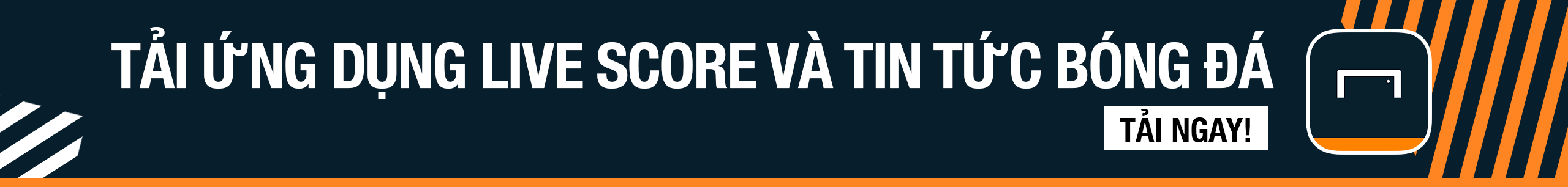 斯的信任 斯的信任