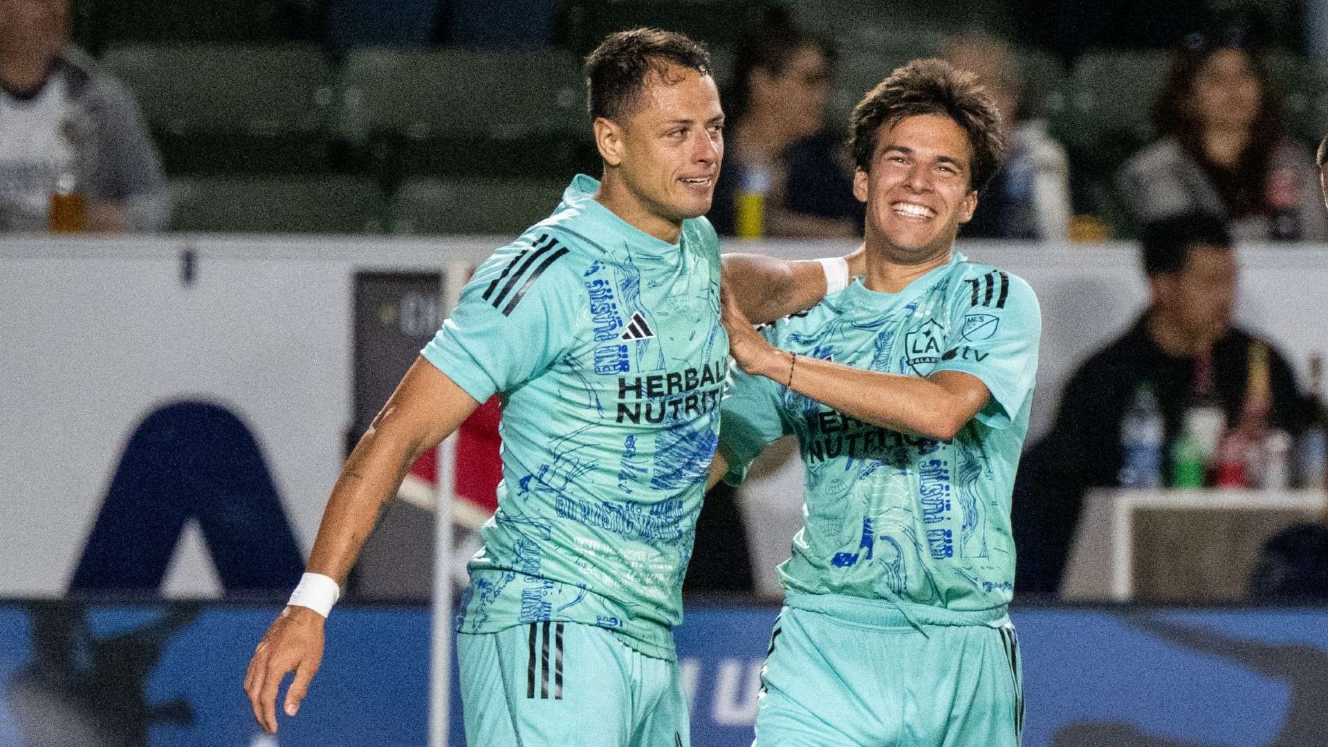 比利時仍然 比利時仍然