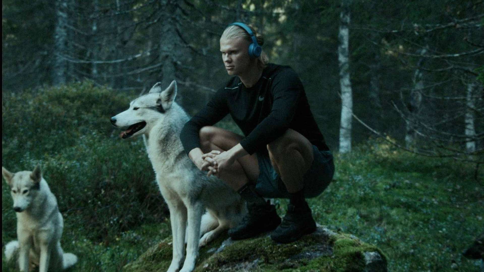 要性和賽事 要性和賽事